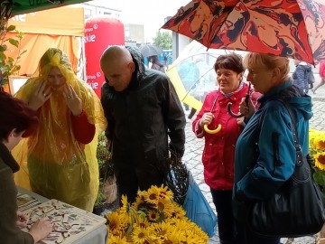 44. Święto Kwiatów, Owoców i Warzyw - w optymistycznym kolorze, 